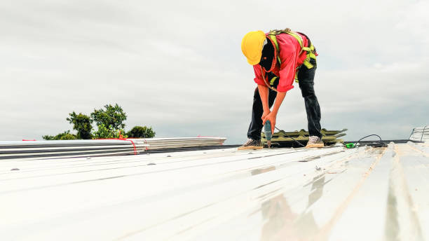 Best Rubber Roofing (EPDM, TPO)  in Franklin Park, IL
