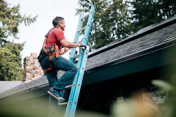 Best Cold Roofs  in Franklin Park, IL
